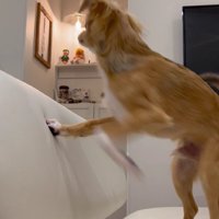 足長すぎ！！
