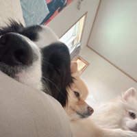 仲良し