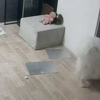 ドアを通り抜けるセブンちゃん