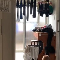 洋服を引っ張るりゅっくちゃん