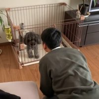 ワンコに挨拶する友達