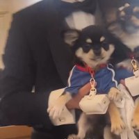 抱っこされる犬
