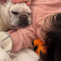 女の子に腕枕をしてもらって目を細める犬