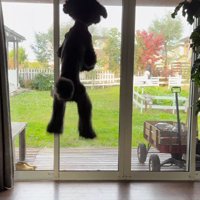 風ちゃんのジャンプがスゴイ！！