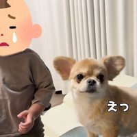 「もしかして私のせい…？」