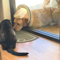 絶対にあきらめたくない！