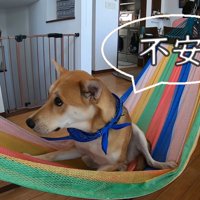 ひとりだと、やっぱり怖い…！