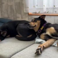 初めから仲良し♡