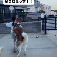 どんな遊びも一緒だよ