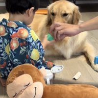 向かい合って座る子どもと犬