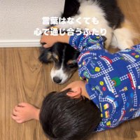 レアちゃんをなでてあげることも