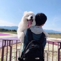 抱っこ