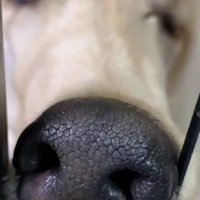 顔が崩れすぎている…！