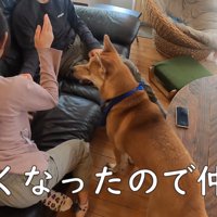 ベシベシ叩いて反撃