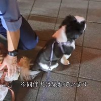 「いつまで続くの…」