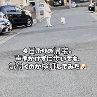 4日ぶりの再会です