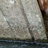 壁にしがみつく生き物3