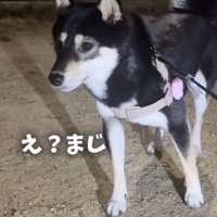 ときめいている目