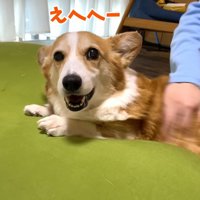 とっても幸せそう♪