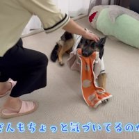 おばあちゃんを気遣う維桜ちゃん