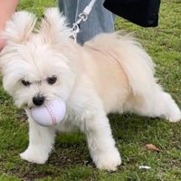 ボールは誰にも渡さない！！