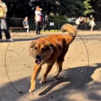 笑顔のラッキーくん