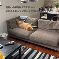 お出迎えする気ゼロ