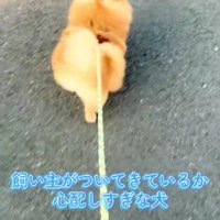 少し歩いては…