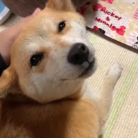 頭をナデナデ♪