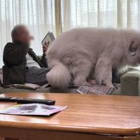 くるっと回って…