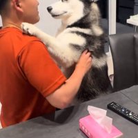 パパに手をかけるニーナちゃん