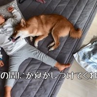 モモ子ちゃんを寝かしつける花子ちゃん