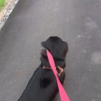 「行っちゃダメ！」