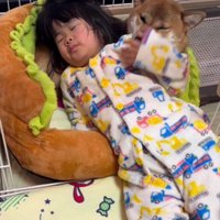 困惑の表情を浮かべるコロちゃん