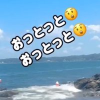 犬に襲いかかる波