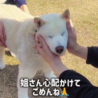 「私の看病のおかげね！！」