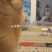 甥っ子のお見舞いに…