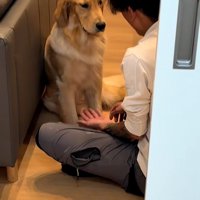お手と言うパパ