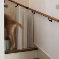 あっさり突破！