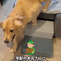 宅配のお兄さんに撫でてもらった♡