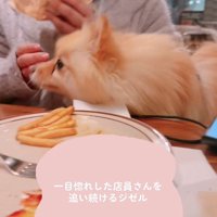 店員さんが水を注ぎに来たら…