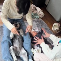 まんざらでもないトンボくん