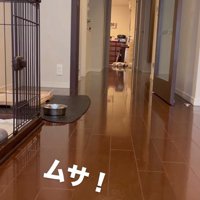 武蔵くんを呼んだ時の態度の差