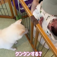 あからさまにハイテンションに
