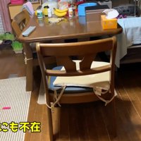 ハナちゃんの姿が見えません