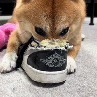 可愛いイタズラも…♪