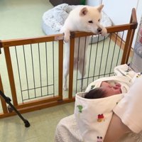 おまめちゃんが大歓迎！