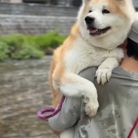 嬉しそうなおはるちゃん