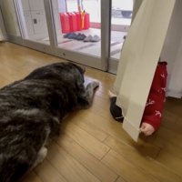 いつだってそばに