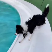 プールで泳ぐのが好き